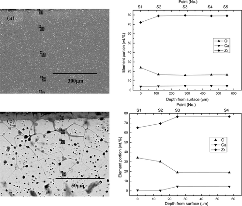 Figure 9. Cross-sectional microstructures and EDS analysis results of CSZ corroded at 650°C for 168 h in (a) 1 wt% Li2O–LiCl and (b) 3 wt% Li2O–LiCl.