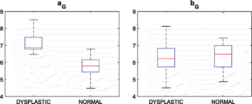 Figure 4. Box plots of the aG and bG distributions for the two subgroups, dysplastic and normal. Median and lower–upper percentiles are displayed.
