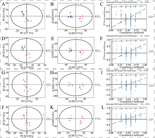 Figure 3. Control group vs. 1 mg silica group multivariate data analysis. PCA score plot (A: positive; D: negative). OPLS-DA score plot (B: positive; E: negative). OPLS-DA permutation plot (C: positive; F: negative). Control group vs. 2 mg silica group multivariate data analysis. PCA score plot (G: positive; J: negative). OPLS-DA score plot (H: positive; K: negative). OPLS-DA permutation plot (I: positive; L: negative).