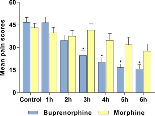 Figure 2 Pain Relief Induced by Intramuscular Morphine or Sublingual Buprenorphine Following Surgery. Pain scores were determined using a VAS after the administration of 0.4 mg SL buprenorphine or an injection of 10 mg/mL morphine. *p<0.05 for comparisons between groups at that time.