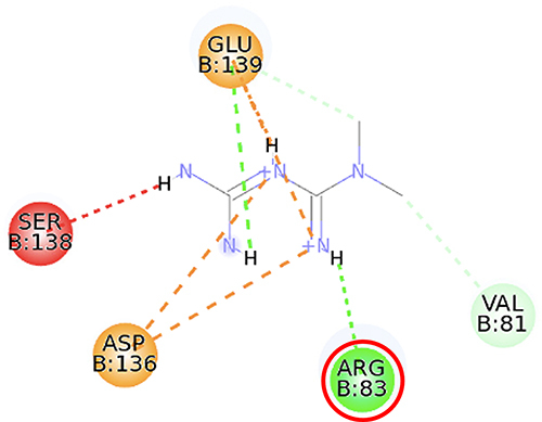 Figure 11 2D molecular interaction of metformin in the AMPK allosteric activator binding site (PDB ID 4CFF), visualized by employing the Discovery Studio Visualizer 4.0. Red circles indicate important amino acid residues (Arg83). Beta-sheets are shown in blue color, and the loops and turns are colored grey. Green dashed lines indicate hydrogen bonds. Orange dashed lines indicate pi-cation hydrophobic interaction.