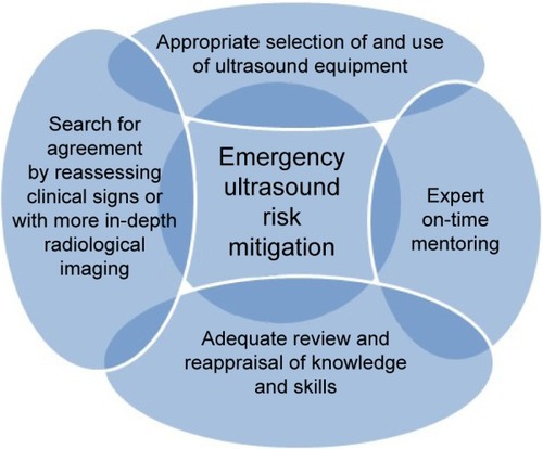 Figure 4 Concept map of emergency ultrasound risk mitigation.