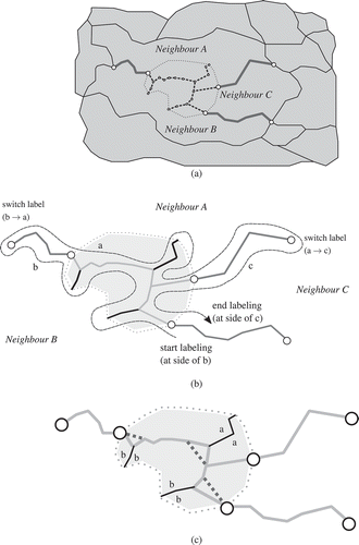 Figure 8. Labelling the skeleton edges with the correct neighbour reference and pruning parts of the skeleton that are enclosed completely by one neighbour. (a) All skeleton edges created (dashed, inside the splittee) and the external chains (dark grey). (b) Labelling of the created skeleton edges (light grey), starting from an external chain (dark grey). Note: edges that have the same neighbouring reference value on both sides once labelled are drawn in black. (c) Parts of the graph that have the same label on both sides (black) are removed. Shortcuts (dashed) replace the two skeleton edges that touch the branches that are removed.