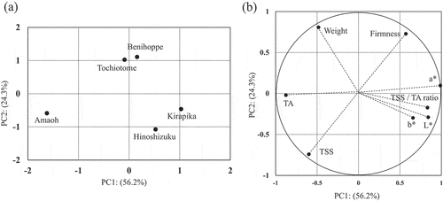 Figure 4. Data scores(a) and variable loading (b) plots on the planesmade up of the first two principle components (PC1 against PC2) by strawberries transported from Japan