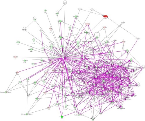 Figure 7 Proteomic analysis revealed molecular interactome regulated by PLB in DU145 cells.