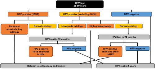 Figure 1. Flow chart for cervical cancer screening via HPV DNA testing. Abbreviation. hrHPV, high risk HPV genotypes