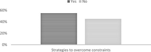 Figure 5. Strategies to overcome constraints. Source: Authors.