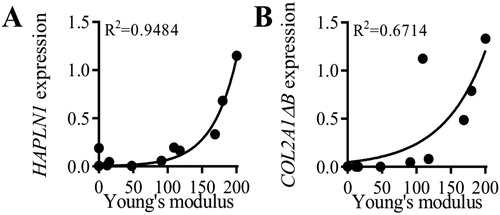 Figure 1. Correlation between the Young’s modulus (kPa) and link protein (HAPLN1) (A) and type IIB (COL2A1ΔB) collagen (B) relative gene expressions normalized on RPS9 housekeeping gene.