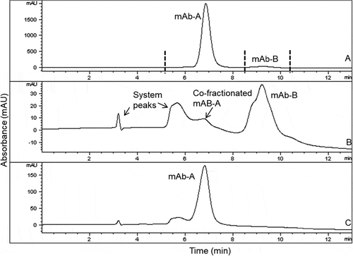 Figure 1. HIC overlays of heat-stressed Combo (profile A) and HIC-fractionated mAb-A (profile C) and mAb-B (profile B). Vertical lines in Profile A indicate fractionation times. Each fraction of HIC-separated Combo (profile A) was reinjected on HIC to verify enrichment (profile B and profile C). Heat-stressed Combo at 40°C for 3 months is shown