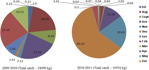 Figure 6. Monthly percentage occurrence (weight in kg) of exploited grouper species.