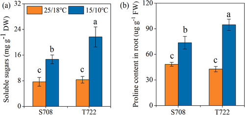 Figure 4. Soluble sugars content (a) and proline content (b) of S708 and T722 cultivars at control (CK, 25/18℃) and sub-optimal temperature (T, 15/10℃). Values are the mean±SD (n=3). Different low letters above the column denote the significantly difference according to Tukey’s HSD test (p < 0.05).