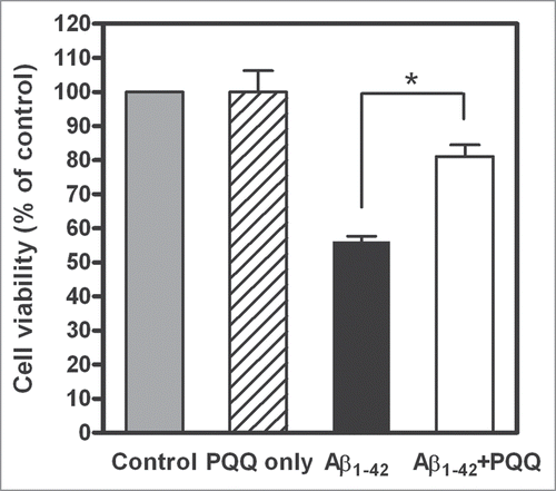 Figure 3 Effect of PQQ on cytotoxicity induced by amyloid β (1–42). Percentage of cell viability of PC12 cells added Aβ1–42 incubated with or without PQQ from n = three independent experiments. The results are expressed as a percentage of the value of “control” (PBS) (gray bar), which is set as 100%: 10 µM PQQ only, 5 µM Aβ1–42, 5 µM Aβ1–42 + 10 µM PQQ. Values are expressed as mean ± SD. (t-test, *p < 0.005).