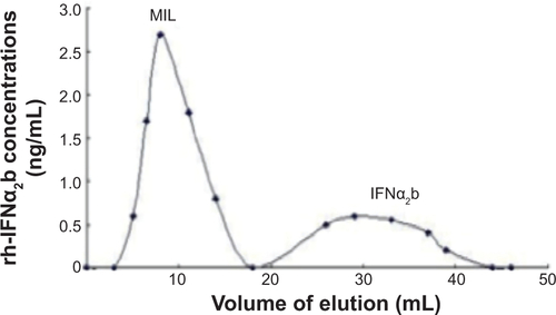 Figure S1 The elution profile shows that magnetoliposomes containing recombinant human (rh)-IFNα2b (MIL) were purified from the mixture using Sephadex G-50 column chromatography. Two peaks including MIL particles and free IFNα2b are shown here.