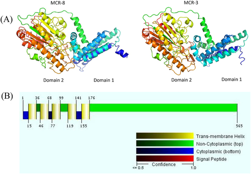 Fig. 4 Predicted crystal structure and transmembrane domain of MCR-8.a Structure prediction for MCR-8 and reference protein MCR-3. Domain 1 was predicted to be a transmembrane domain, while domain 2 was predicted to be a phosphoethanolamine transferase. b The five transmembrane α-helices predicted by the Philius transmembrane prediction server (type confidence, 0.99; topology confidence, 0.88)