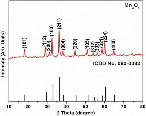 Figure 2. Powder X-ray diffraction (XRD) pattern of the synthesized Mn3O4 nanoparticles.