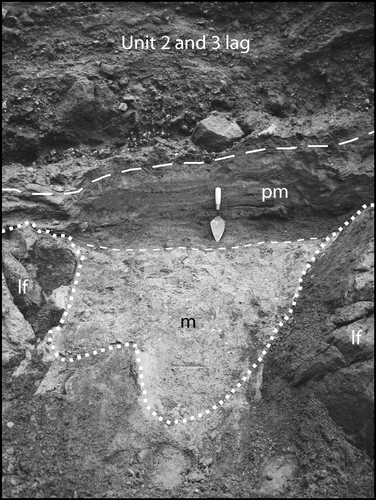 Figure 5 Black-and-white photograph of unit 1 (includes both portions m and pm) exposed on lava-flow headland on the south side of Tundering cove (Fig. 4) shows muddy gray tephra (m) grading upward to interbedded mud and pumiceous ash (pm; around and just above 28-cm-long trowel). Unit 1 is overlain by stony lag deposits of pyroclastic flows of units 2 and 3. Unit 1 deposit lies in crevice in lava flow (lf); lava surface slopes toward viewer (U.S. Geological Survey [USGS] photograph by W. E. Scott).