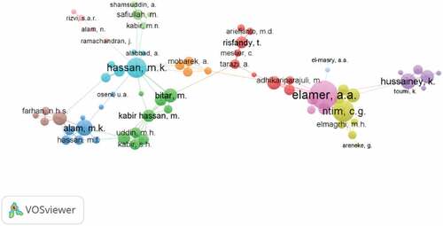 Figure 3. Clusterization of writers on Islamic banking.