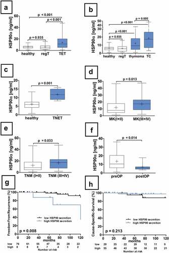 Figure 2. Serum concentrations of HSP90α in patients with TETs. The differences in serum concentrations of healthy volunteers, patients with regular thymus as well as TETs are depicted (a). HSP90α serum concentrations in healthy volunteers or patients with regular thymus in comparison to patients with thymomas and TCs are shown (b). An analysis HSP90α serum concentrations of the particularly rare cases of TNETs (n = 4) is shown (c). Further, the analysis of HSP90α serum levels in patients according to Masaoka-Koga stages (d), and the 8th TNM edition (e) are displayed. The longitudinal analysis of HSP90α serum concentrations before and after extended thymectomy for TETs is depicted (f). The FFR survival analysis in thymomas separated according to high or low HSP90 serum level status is depicted (g). The CSS analysis in thymomas separated according to high or low HSP90α serum level status is shown (h).