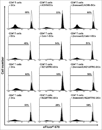 Figure 6. RCC cells inhibit slanDC-induced T-cell proliferation by cell-to-cell contact. slanDCs and ccRCC cells were maintained in the presence or absence of a separating porous membrane. Then, slanDCs were collected and co-cultured with allogeneic eFluor® 670-labeled CD4+ T cells. Subsequently, T cells were harvested and analyzed by flow cytometry. The results of one representative donor out of four performed with similar results are depicted. Values represent the percentage of proliferating cells stained with eFluor® 670 (filled) compared to unstimulated T cells (empty).