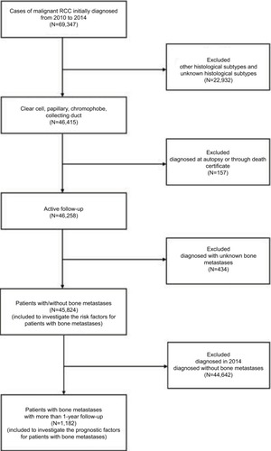 Figure 1 Flowchart of the patient selection for analyzing the risk factors for the morbidity and prognosis of bone metastases in RCC patients.Abbreviation: RCC, renal cell carcinoma.