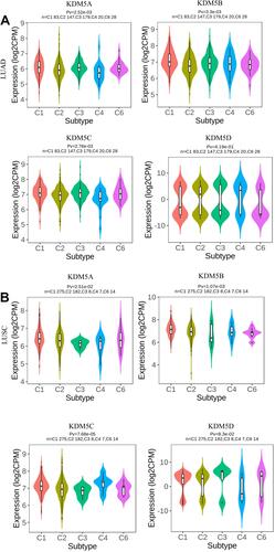 Figure 6 Associations between KDM5A/B/C/D expression and immune subtypes in LUAD (A) and LUSC (B). C1 (wound healing); C2 (IFN-γ dominant); C3 (inflammatory); C4 (lymphocyte depleted); C5 (immunologically quiet); C6 (TGF-β dominant).