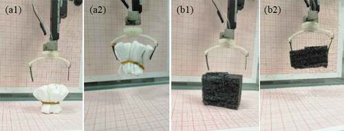Figure 8. The flexible grippers made by two IPMCs: (a1, b1) the initial state of the gripper; (a2, b2) the state of grasping the object