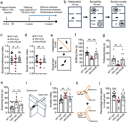 Figure 1. PS128 rescues behavioral abnormalities of the VPA mice.