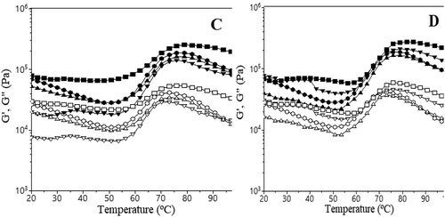 Figure 2. Evaluation with temperature of G’ values (represented by solid symbols) and G” (open symbols) for samples with different levels of calcium ions addition.Figura 2. Evaluación con temperatura de los valores G’ (representados por los símbolos sólidos) y G” (símbolos abiertos) para las muestras a las que se adicionaron diferentes niveles de iones de calcio: 0 mg/100g (●),100 mg/100g (▼), 150 mg/100g (▲) y 200 mg/100g (■) de sales lácticas (CLF) (A) y sales glucónicas (CGF) (B).