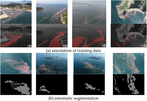 Figure 15. The annotation of training data and automatic segmentation.