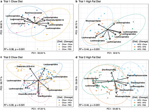 Figure 5. Aitchison compositional biplots of recipient mice visualized by principal component analysis (PCA). Panels a and B: Recipient mice from trial 1 fed chow (a) or HFD (b). Panels C and D: Recipient mice from trial 2 fed chow (c) or HFD (d). Color denotes treatment group (see Figure 1). Arrows denote important taxa in relation to sample clusters. Significance was determined by PERMANOVA with 999 permutations (Aitchison distances ~ Day * Gavage); the R2 and p-value for the effect of gavage are indicated in respective panels.