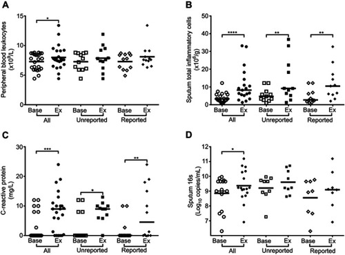 Figure 2 Blood and sputum inflammatory markers and bacterial 16s in reported and unreported exacerbations. (A) Peripheral blood leukocytes. (B) Sputum inflammatory cells. (C) Serum C-reactive protein. (D) Sputum 16s rRNA. *P<0.05, **P<0.01, ***P<0.001, ****P<0.0001.