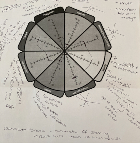 Figure 4. Stress wheel data collection tool.