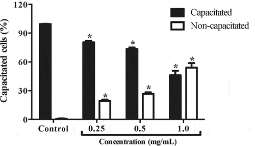 Figure 2. Effect of aqueous crude extract of Echeveria gibbiflora (OBACE) on mouse sperm capacitation. Despite the low toxicity of OBACE, the sperm sample showed a significant number of cells which did not achieve capacitation, in the same way, OBACE showed an effect in a concentration dependent manner. Values are expressed as mean ± SEM (n = 3), p < 0.0001. Data analysis was performed using Dunnett’s multiple comparison test, p < 0.05. *means significant difference.