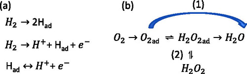 Figure 1. (a) Three step mechanism for the hydrogen evolution reaction (HER). (b) The two known pathways for the oxygen reduction reaction (ORR), where (1) is the direct reaction and (2) is the indirect reaction.