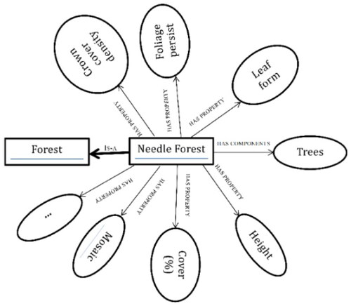 Figure 12. Coniferous forest in the local ontology of from-GLC-Seg. (Zhu et al. Citation2021).