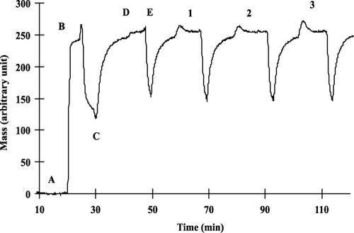 Figure 3. Immobilisation process of histamine-BSA conjugate and measuring cycles of different dilutions of anti-histamine antibody (A – distilled water, B – glutaraldehyde (2.5%), C – buffer, D – histamine-BSA conjugate (10 µg mL−1), E – HCl, 50 mM, 1 – 1:2000 dilution, 2 – 1:2000 dilution, 3 – 1:1000 dilution of antibody).