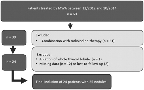 Figure 2. Flowchart summarizes patient inclusion in MWA group.