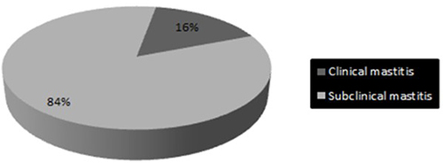 Figure 5 Average prevalence of S. aureus in clinical and subclinical mastitis in Ethiopia.