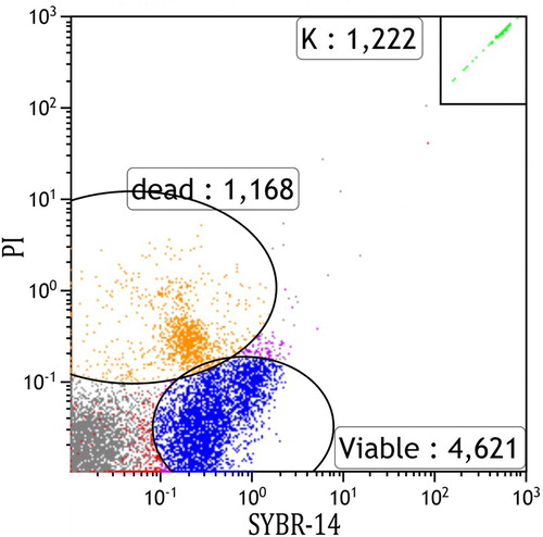 Figure 1. An example scatter plot of an ungated flow cytometer run showing 4,621 viable (SYBR-14 stained) and 1,168 dead (PI-stained) sperm cells.Note: K represents the number of counting beads.