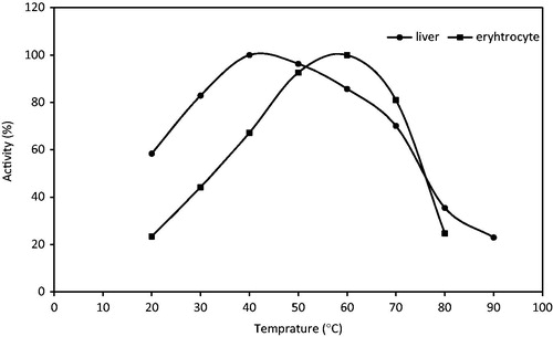 Figure 4. Optimal pH for liver and erythrocyte GR.