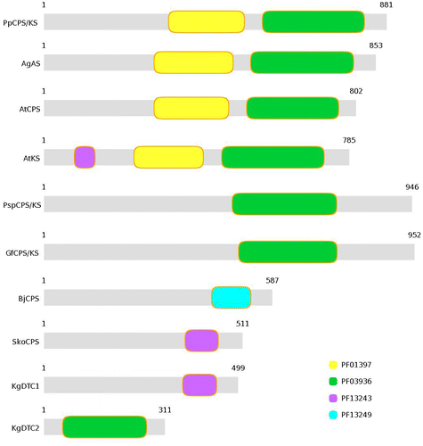 Figure 2. Representation of protein domains in different terpene synthase proteins.