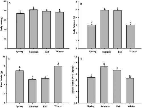 Figure 1. Seasonal changes in (A) body mass, (B) body fat mass, (C) food intake and (D) serum leptin levels in Eothenomys miletus. Means with different superscript letters are significantly different (P < 0.05).