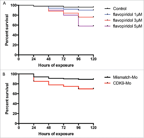 Figure 1. Kaplan-Meier survival curve following exposure to flavopiridol or morpholino injection. Survival rate in zebrafish embryos following continuous exposure to flavopiridol (at least n = 100 per group) in the range 1–5µM (A), from 24hpf up to 120 hpf or injection with morpholino 0.2ng/embryo (at least n = 100 per group) (B). Surviving embryos were counted every 24 hours until 120hpf.