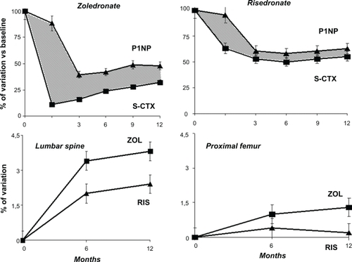 Figure 4 Effects on bone density and turnover between zoledronate and risedronate in glucocorticoid-induced osteoporosis. Note that zoledronate induces a rapid and higher suppression of resorption markers with respect to risedronate. This can explain the higher increase of bone density with zoledronate in this particular setting.