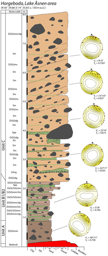 Figure 9. Synthesised log of sedimentary units A–C and sediment facies in the Horgeboda ribbed moraine section. Lithofacies codes are according to Table 1. Clast fabric data are plotted on Schmidt equal-area, lower hemisphere projections of clast long-axis orientation and contoured according to the Kamb method at 2σ intervals. The calculated strongest eigenvector azimuth (V1) and its eigenvalue (S1) for each data-set are according to Mark (Citation1973). Reproduced from Möller & Dowling (Citation2015).