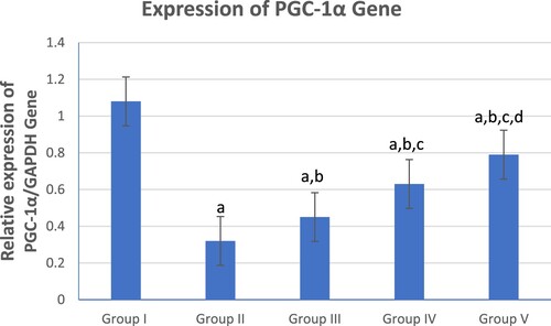Figure 1. Graphical presentation of real-time quantitative PCR analysis of the expression of PGC-1α gene in studied groups by fold change. Means within column carrying different superscript letters are significantly different at p ≤ 0.05; a, significance vs. Group I; b, significance vs. Group II; c, significance vs. Group III; d, significance vs. Group IV.