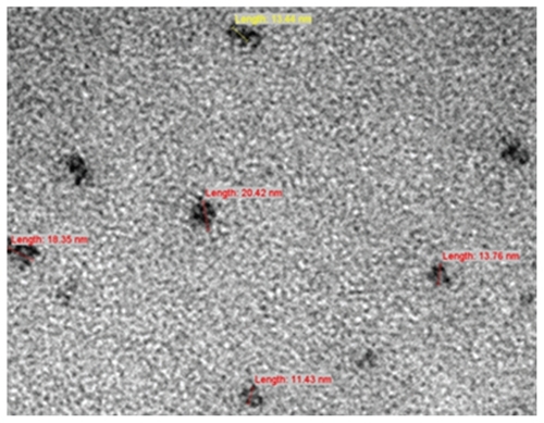 Figure 1 Transmission electron microscopy showing the morphology of nanoparticles.