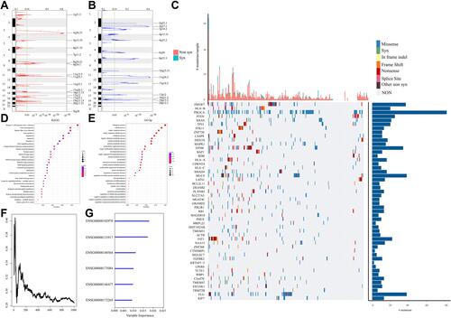 Figure 1 (A) Significantly amplified segments in the CC genome. (B) Significantly deleted segments in the CC genome. (C) The top 50 genes with the most significant p values. The upper histogram represents the total number of synonymous and nonsynonymous mutations in the 50 genes from each patient, and the right histogram represents the mutation proportion of 50 genes in all samples. (D) A total of 839 genes with significant copy number variation and mutations were included in the KEGG pathway analysis. (E) A total of 839 genes with significant CNV and mutations were included in the GO biological process analysis. (F) The relationship between prediction error rates and the number of separate trees. (G) The out-of-bag importance rank of the top 6 genes.