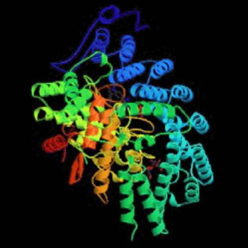 Figure 3 Farnesyltransferase enzyme complexed with tipifarnib (PDB code: 1SA4).