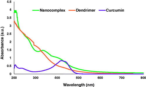 Figure 4. UV-vis spectra show the surface plasmon resonance of curcumin (purple line), dendrimer nanoparticles without drug (orange line) and dendrimer nanoparticles with drug (green line).